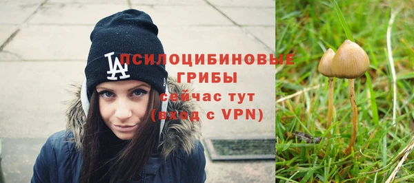 скорость Балахна