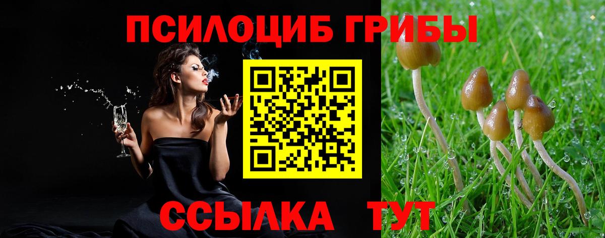 Галлюциногенные грибы мицелий Бирск