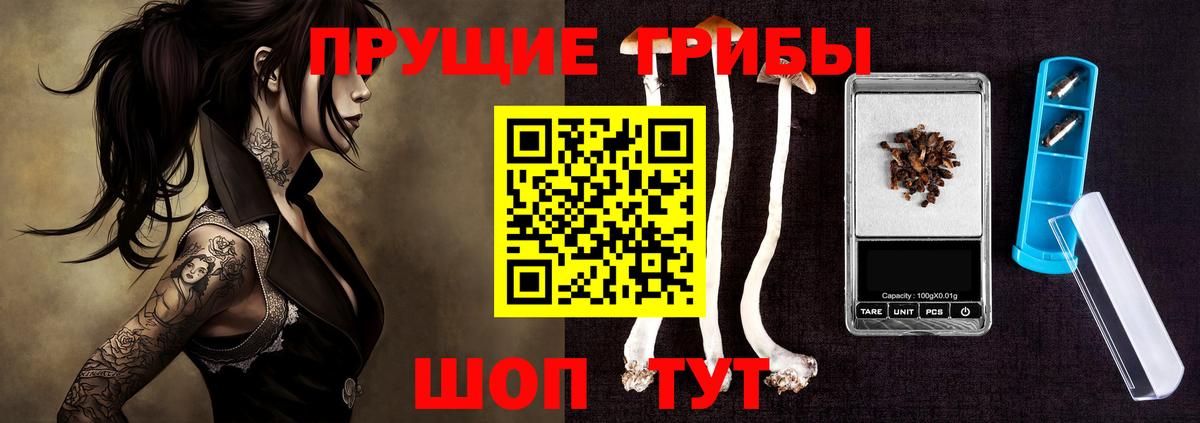 Галлюциногенные грибы Psilocybine cubensis  Вход с VPN  Бирск  Псилоцибиновые грибы мухоморы 