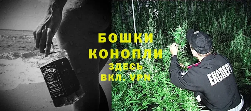 Бошки марихуана Bruce Banner  купить закладку  Бирск 